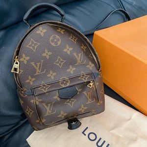 Louis Vuitton Palm Springs Mini backpack